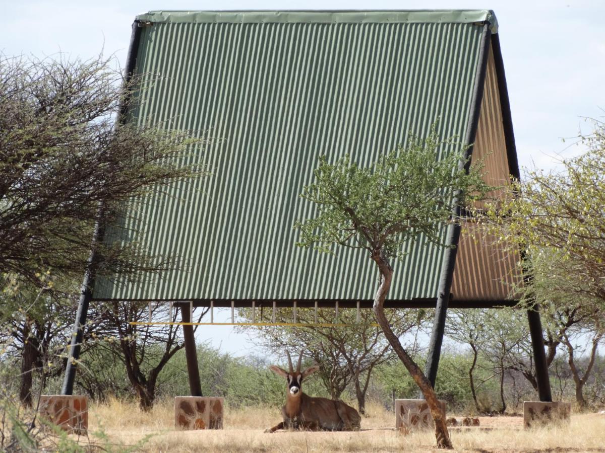 Ovita Wildlife Restcamp Okazize Extérieur photo